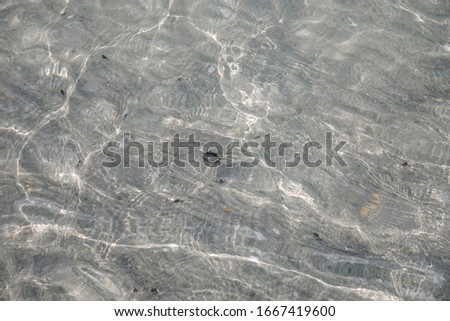 The seabed in clear water on the shore of the Persian Gulf