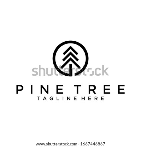 Pine tree logo design template.Abstract tree icon Pine tree vector
