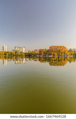 In November 2019, the winter scenery of Xingqing Palace Park, Xi'an, capital of Shaanxi, China, with clear blue sky