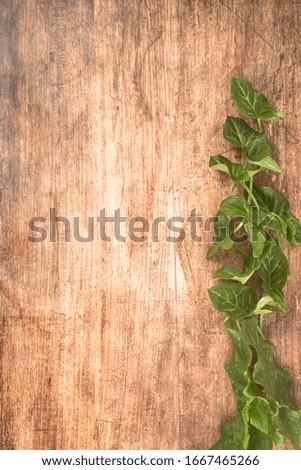 One of the first spring flowers on the wooden background, arranged in the bouquet