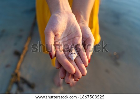 Top view of a girl in a yellow dress holding a seashell in her hands while standing in the water. Hands close up