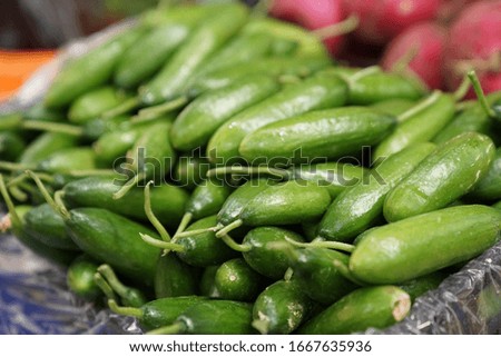 Cucumber in farm market on turkey