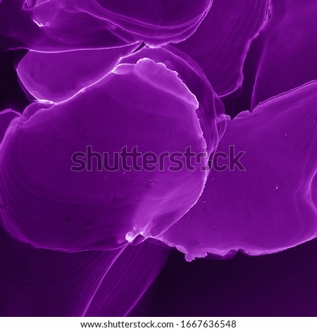 Purple Fluid. Pink Elegant Dark. Liquid Illustration. Red Magic Substance. Black Abstract Backdrop. Alcohol Ink With Fade Effect. Contemporary Purple Fluid.