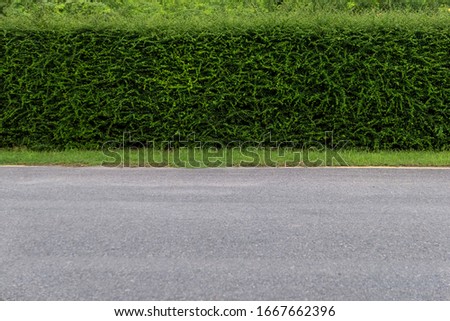 Asphalt road in green countryside with fencing tree background.