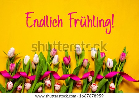Tulip, Endlich Fruehling Means Finally Spring, Easter Egg, Yellow Background