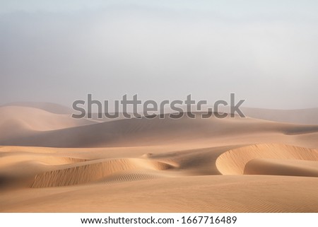 Dense fog covering desert landscape early winter morning. Liwa desert, Abu Dhabi, United Arab Emirates. Royalty-Free Stock Photo #1667716489