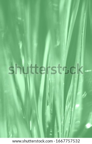 Abstract blurred soft focused futuristic wavy background. Trendy mint colored minimal backdrop. Glass texture