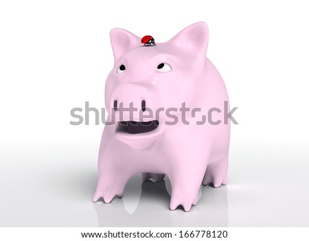 closeup of a surprised piggy bank that watches a red ladybird which stands on top of its head, on a neutral background