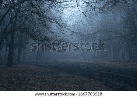Morning in a dark rainy foggy scary forest Royalty-Free Stock Photo #1667783518