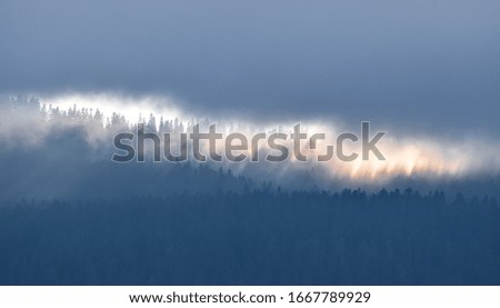 Sunrays through clouds over forest