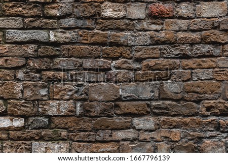 Old historic protected wall. Shabby bumpy style of front facade citadel. Worn trim carved plates on palace courtyard. Light chaotic chipped loft marble on mansion backyard. Grungy decor barrier for 3d