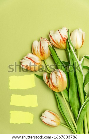 Three rectangular pieces of yellow paper with torn edges for your text and a bouquet of tulips. The concept of spring holidays, springtime.