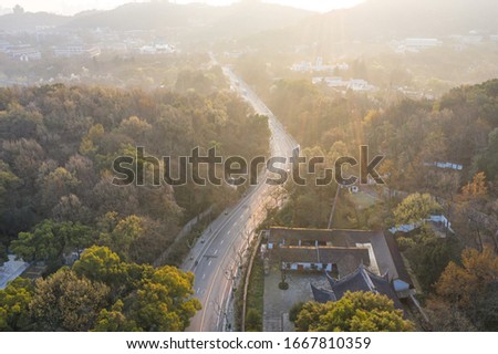 road in forest during sunrise