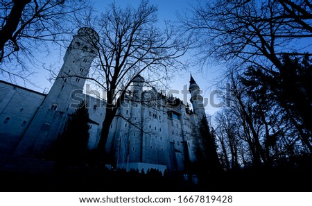 View to Neushwanstein castle Germany