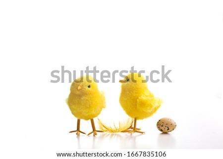 Easter decorations on white background