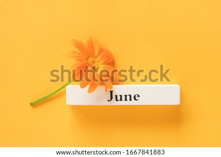 One orange calendula flower and calendar summer month June on yellow background. Top view Copy space Flat lay Minimal style. Concept Hello June Template for your design, greeting card. Royalty-Free Stock Photo #1667841883
