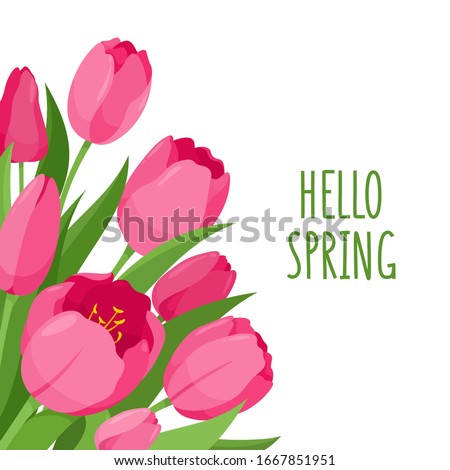 Tulips. Vector colorful tulips flowers isolated on white background. Spring flowers for coloring book, greeting card, invitation. Symbol for Women's Day and Mother's Day. Springtime