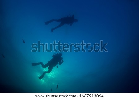 Couple scuba diving in ocean 