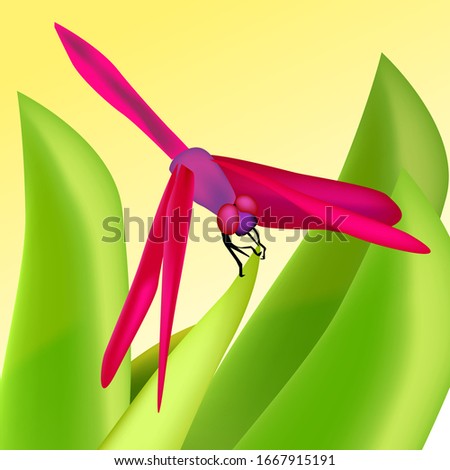 Vector pink dragonfly illustration on a yellow background