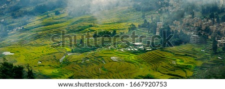 terraced rice fields in yuanyang