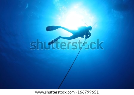 Diver silhouette under wate with beautiful sun ray, Hawaii.