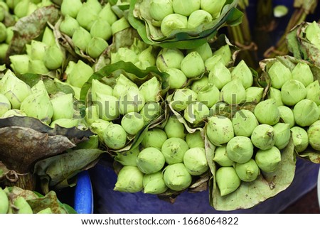 many green lotus flowers in the temple