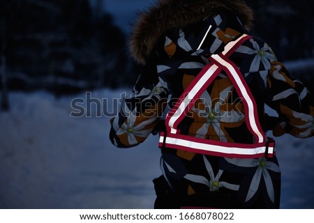Children on a bicycle in a winter evening. Light is reflected from clothing reflectors. Safe cycling in the dark time. Royalty-Free Stock Photo #1668078022