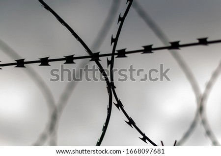 Barbed wire fence against the sky on a spring day, closeup photo