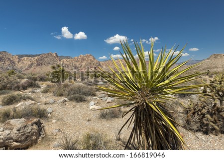 Arizona landscape view on deep blue sky background