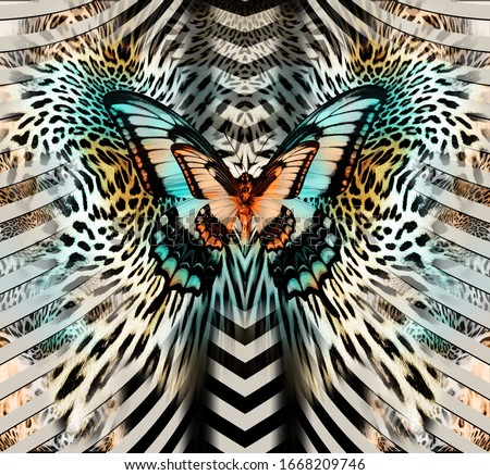  butterfly  geometric pattern; leopard skin 