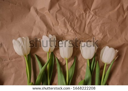 White tulips on a brown paper background. Tulips Spring flowers. Bouquet. Photo for a postcard.