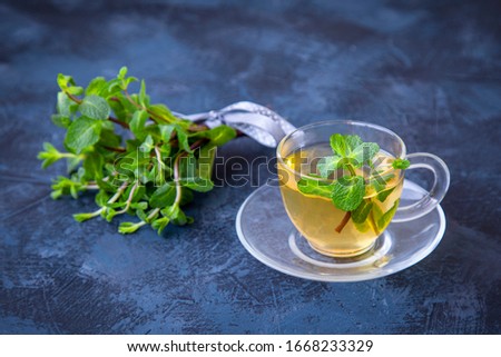 Green tea with mint in a transparent glass cup on a dark background Royalty-Free Stock Photo #1668233329