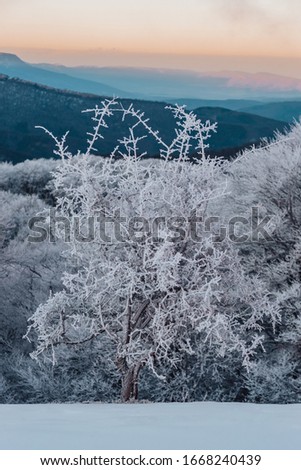 Colorful Winter Landscape In The Mountains. Sunrise