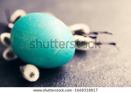 Bright blue egg and fluffy willow branches on a black background, closeup, soft focus. Easter background. 	