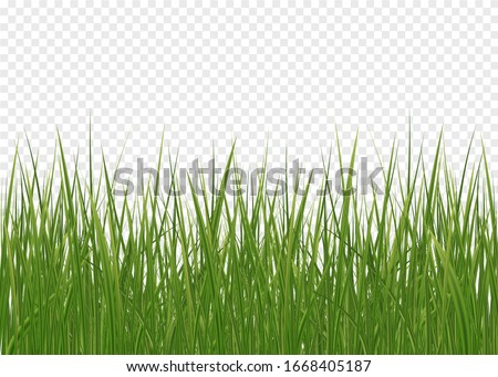 Seamless horizontal green lawn of grass pattern and isolated magnified circle of grass patch. Spring green grass, seamless pattern. 3d realistic vector set