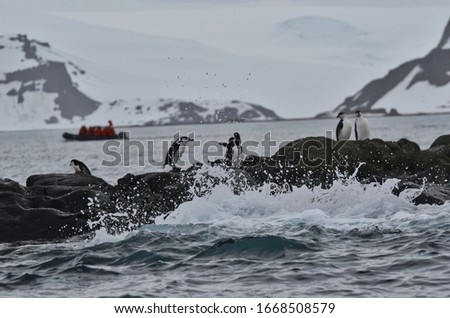 View of Penguin Colony Splashed by Wave with Distant Zodiac and Mountains in Antarctica