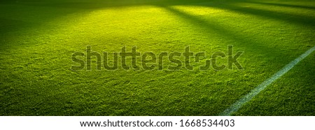 Side lines panorama of an empty green sports field before a game Royalty-Free Stock Photo #1668534403