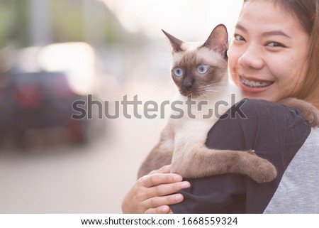 Asian women playing with cats in the garden with sunset. Asian beautiful girls playing with siamese cat.