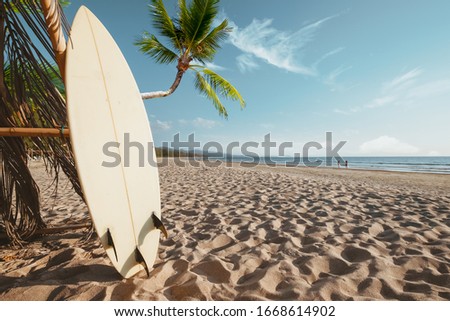 Surfboard and palm tree on beach background with people. Travel adventure and water sport. relaxation and summer vacation concept.