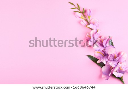 Decorative flowers on pink background composition. Flat lay photo.