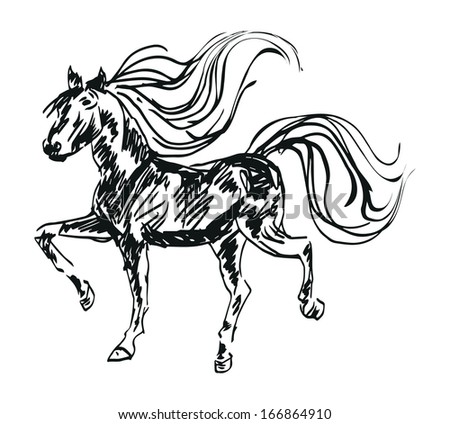 Vector image of an horse on white background hand draw