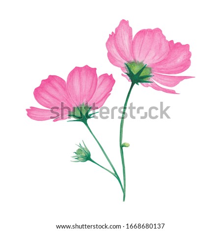 Watercolor pink flowers with leaf and bud. Abstract flower for spa, relax, holiday. Arrangement perfectly for printing design on invitations, cards, wall art and other. Hand painted