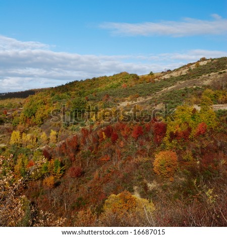 Autumn colors on hillside in center Italy