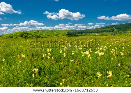 Summer photo. floodplain meadows A meadow (or floodplain) is an area of ​​meadows or pastures on the banks of a river that is prone to seasonal flooding.