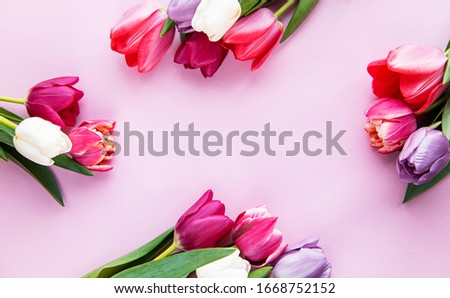 Beautiful tulips bouquet on a pink pastel  background