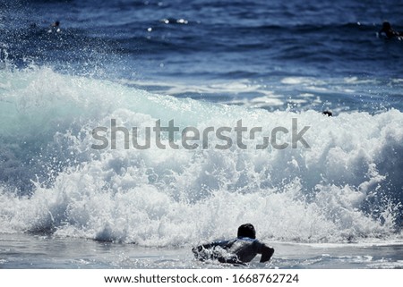 tenerife wave for beginner surfer