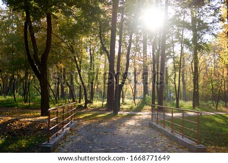 Bright sunshine behind autumn forest trees. Dry fallen leaves. Royalty-Free Stock Photo #1668771649