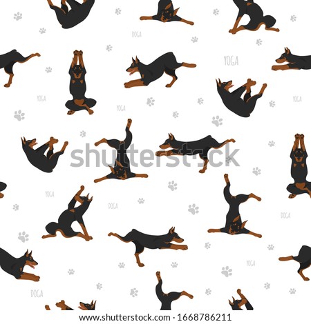 Yoga dogs poses and exercises seamless pattern design. Doberman clipart. Vector illustration