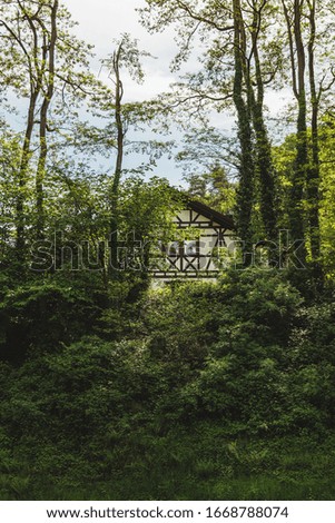 House in the forest. Nice panoramic landscape of the black forest region, Germany. Schwarzwald.