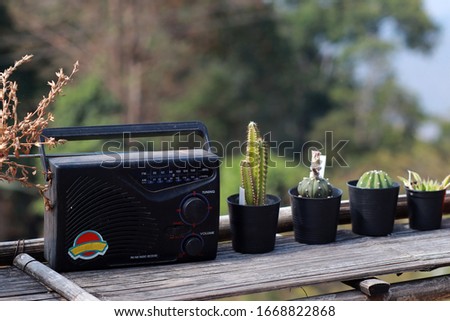 Black radio nad cactus pot on old table and blur background of tree